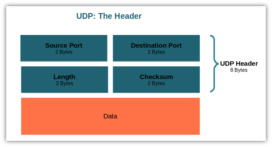 UDP Header